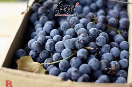 hth华体官方下载app