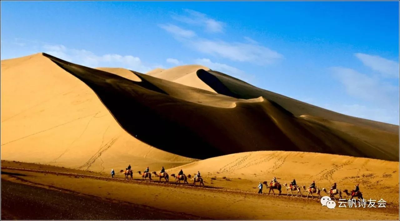 hth华体官方下载app