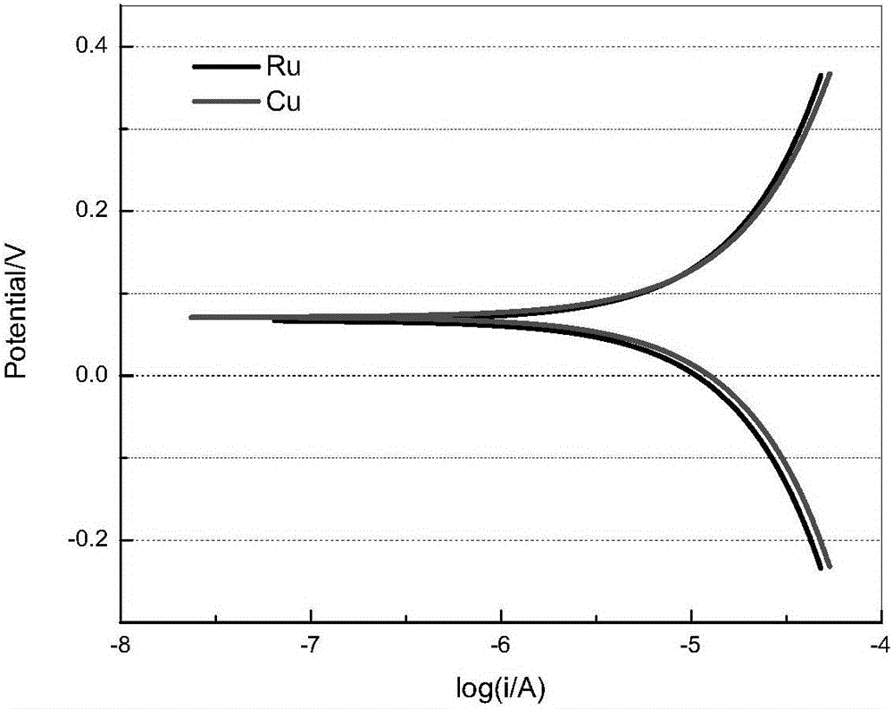 这个夏天爱上游泳,Speedo发起“GET SPEEDO FIT”主题活动:hth华体官方下载app(图4) hth华体