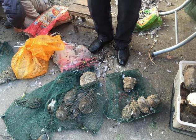 让你头大的网络游戏广告词很搞笑:hth·华体(图1) hth华体