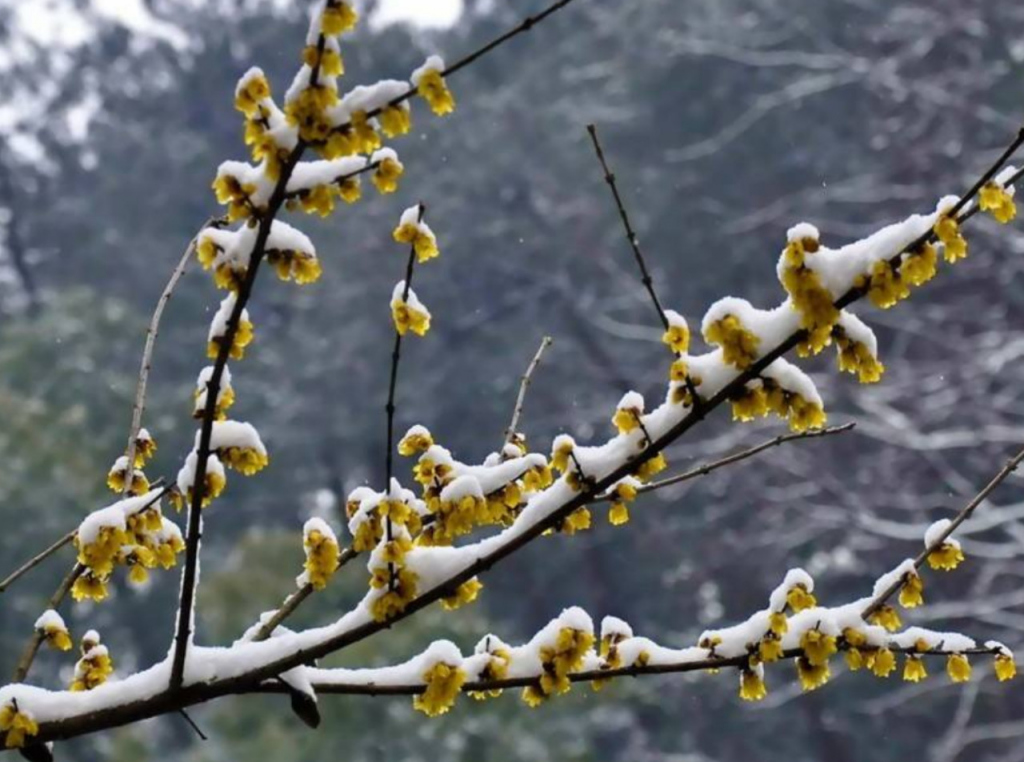 网站做好了你知道怎么推广吗?这些引流方法值得一试_hth·华体(图1) hth华体