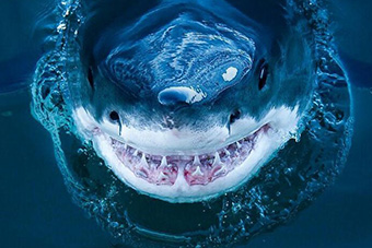 汉威士媒体宣布与Facebook Atlas的全球伙伴关系_hth华体(图3) hth华体官方下载app