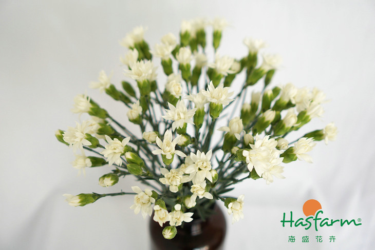 思齐‘hth华体’(图2) hth华体官方下载app