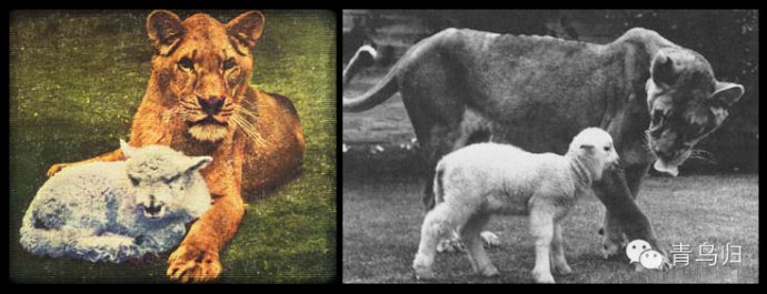 “hth·华体”这小我私家人都是自媒体的时代,小白断断续续用过的一些自媒体工具(图3) hth华体官方下载app