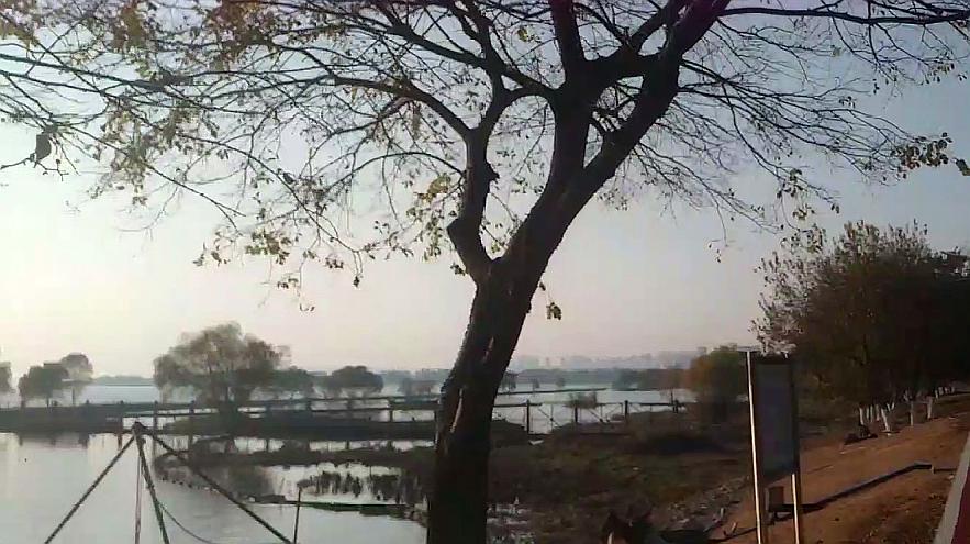 ‘hth华体’提升口碑!吸引眼球的”大幅度海报“(图3) hth·华体