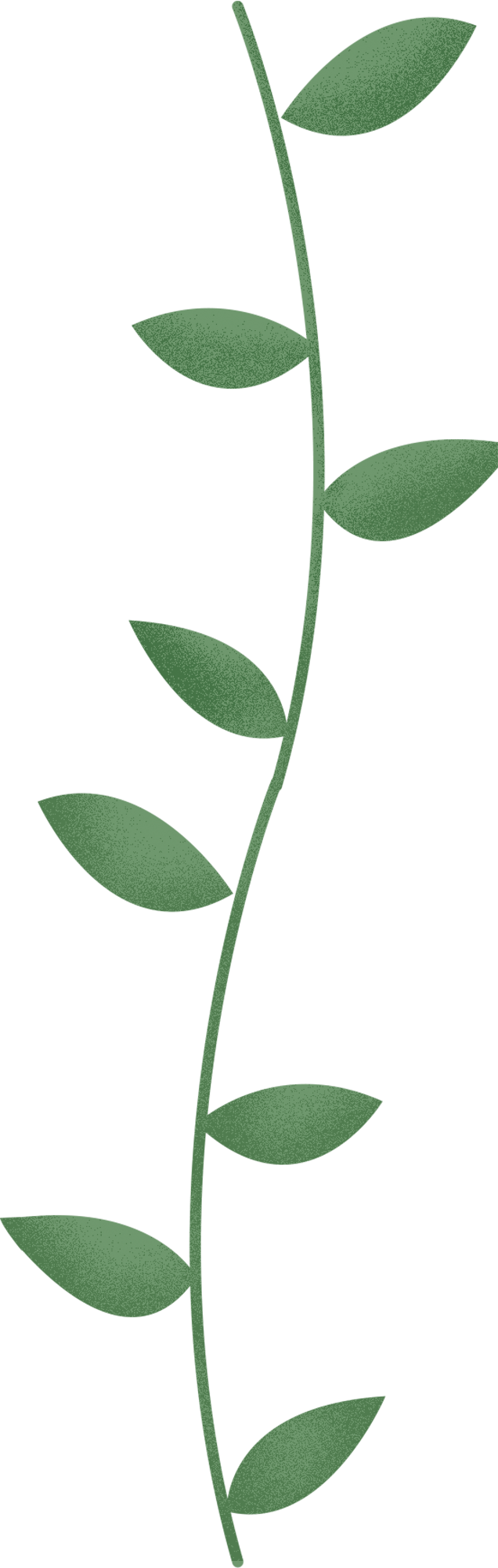 hth·华体-
院校剖析(图3)