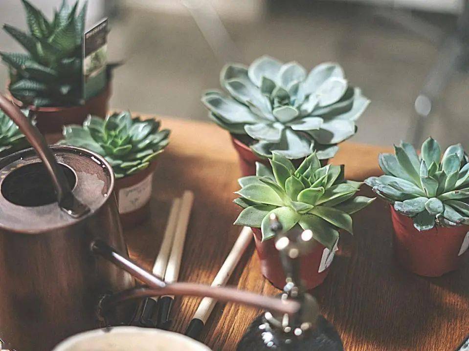 hth·华体-
院校剖析(图2)