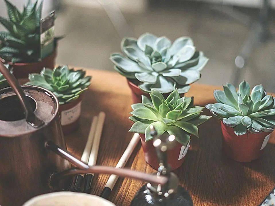 hth·华体-
院校剖析(图6)