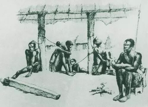 中国式广告合集_hth华体官方下载app(图2) hth华体