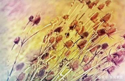 从日本动漫看我国动漫产业的发展|hth华体(图2) hth华体