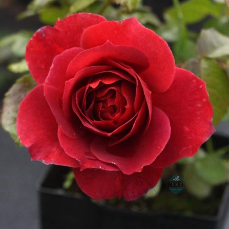 秋次霸亭寄申大-hth华体官方下载app(图2) hth·华体