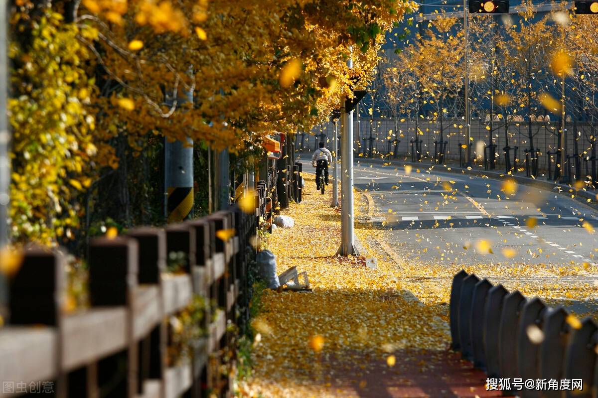 hth·华体-
如何降低结业论文查重率?(图5) hth·华体-
如何降低结业论文查重率?(图5)