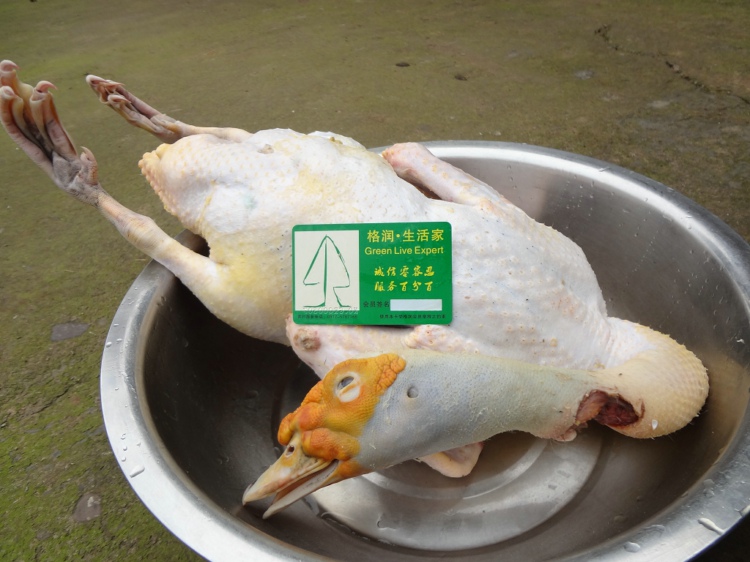 渝东地区古盐业发展史初探——从忠县◇井沟发现原始制盐工具说起【hth华体官方下载app】(图1) hth·华体