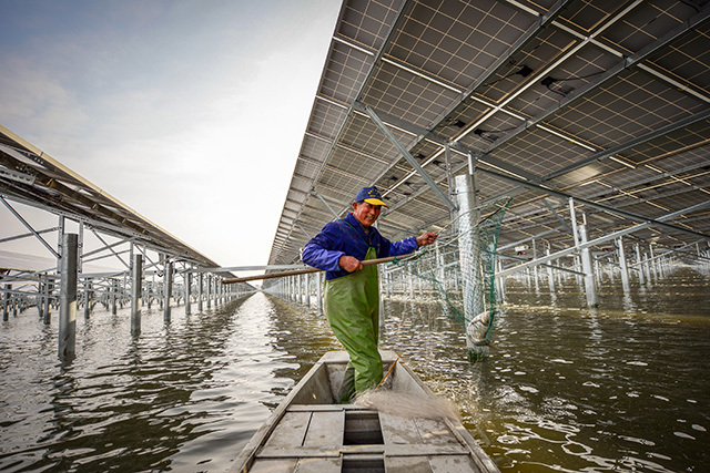 hth华体官方下载app