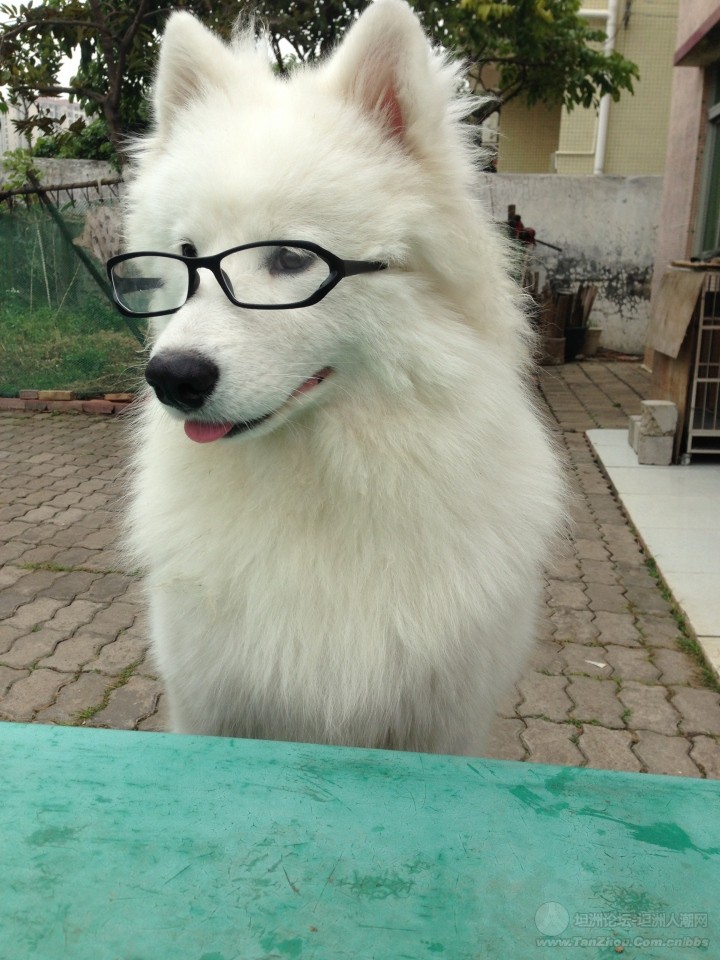 hth华体官方下载app