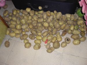 hth华体官方下载app