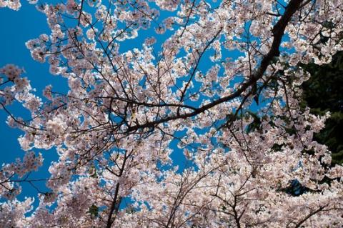 hth华体官方下载app