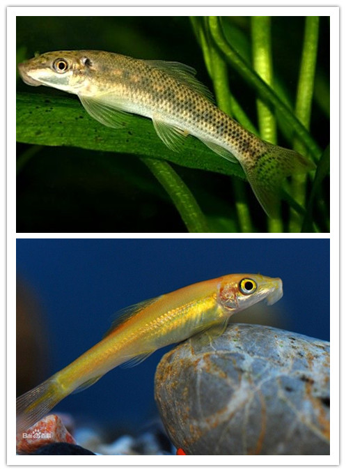 hth华体官方下载app