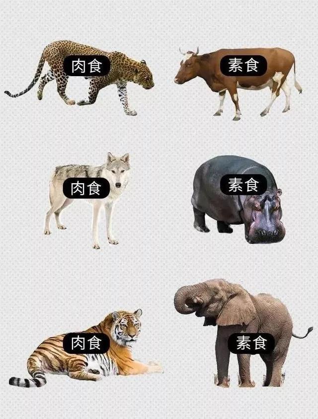 hth华体官方下载app